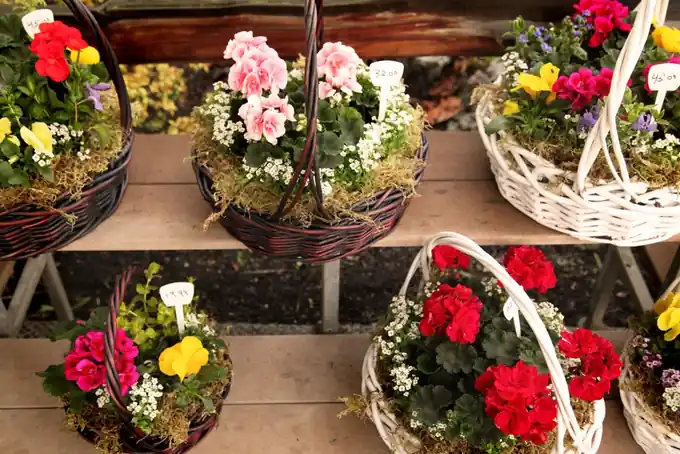 Custom potting and delivery