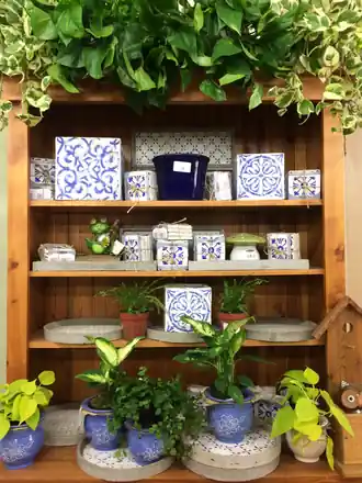 Bringing the Yard Indoors: Houseplants for Yakima Winters