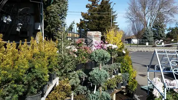 Wholesale bulk plant orders